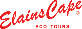 ElainsCape Eco Tours